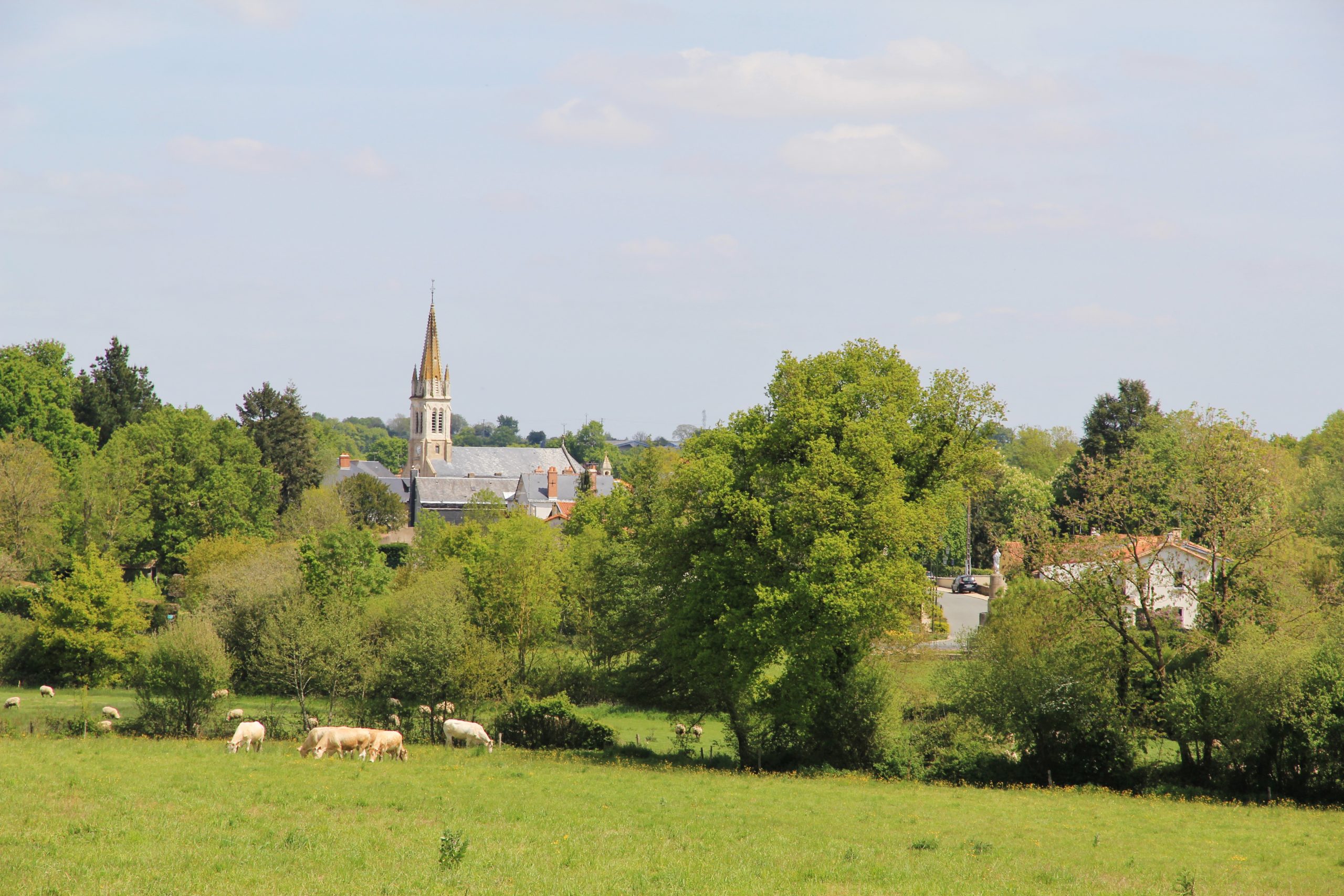 vue-loublande-rinfillieres