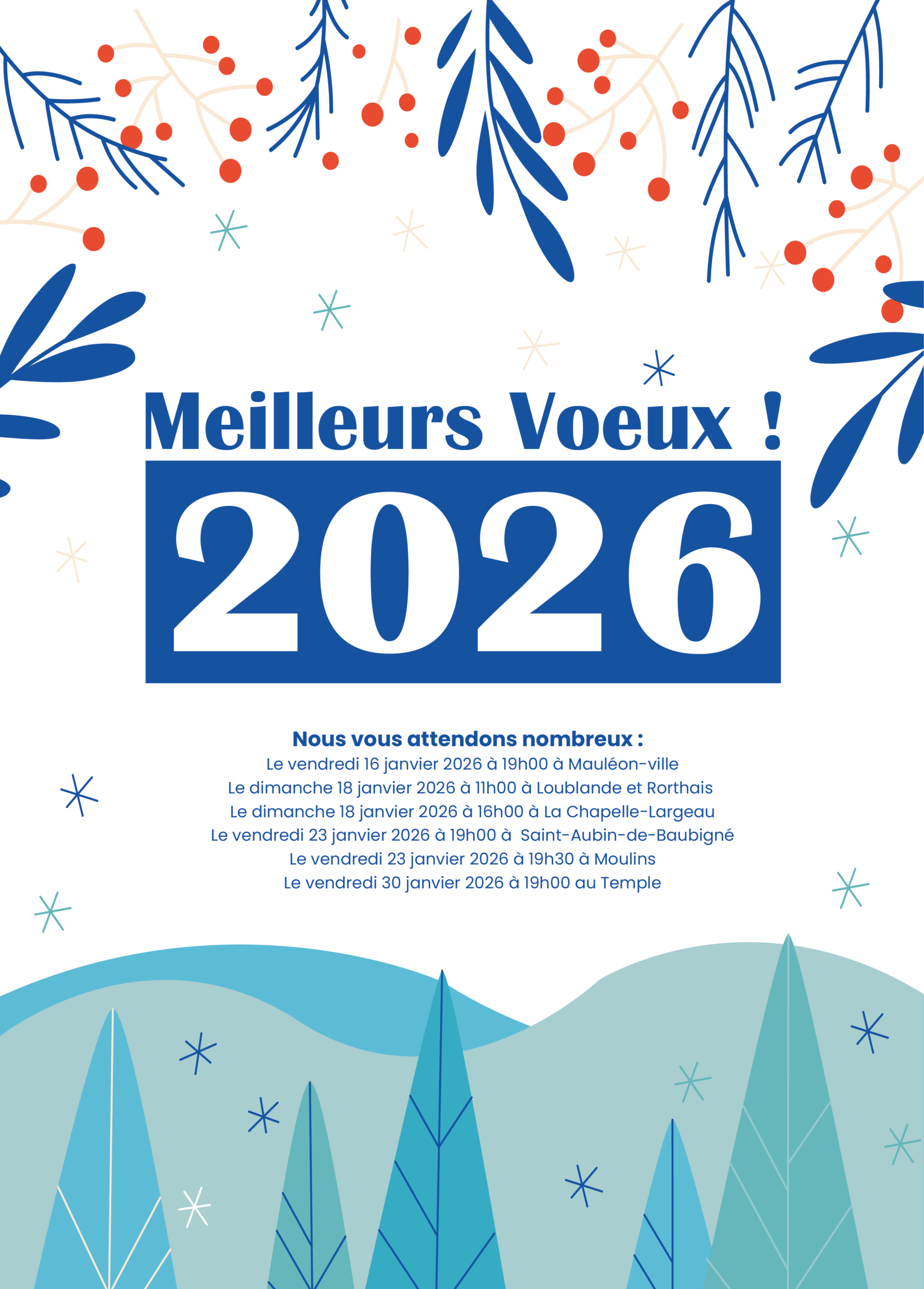 Voeux 4ème couverture MAG