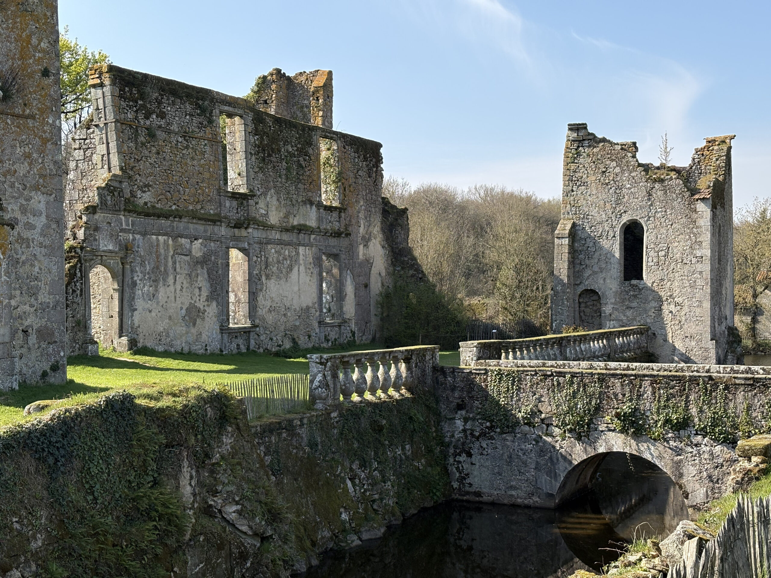 Château de la Durbelière (1)