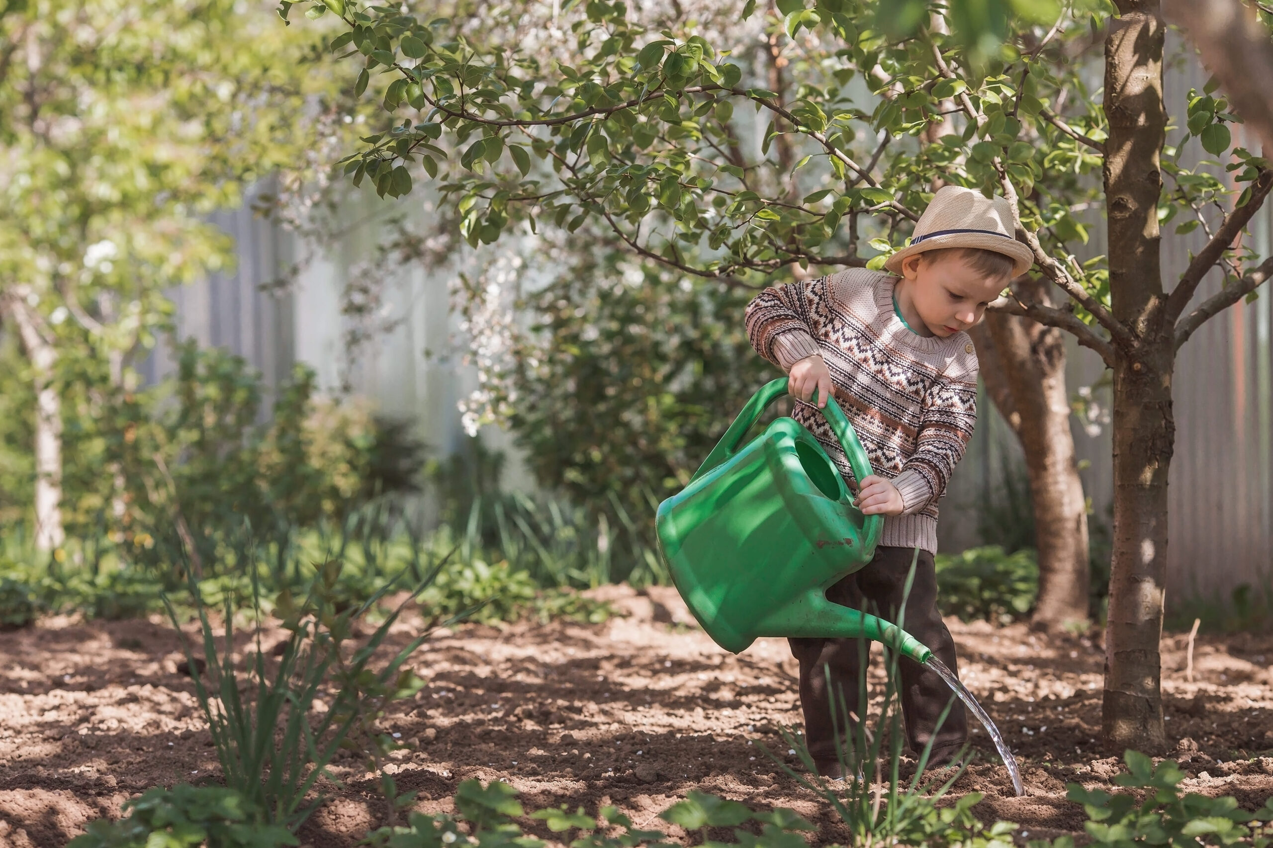 A cute boy in a hat plants and waters seedlings from a watering can in a summer garden, outdoors. The concept of gardening and teaching a child to work.