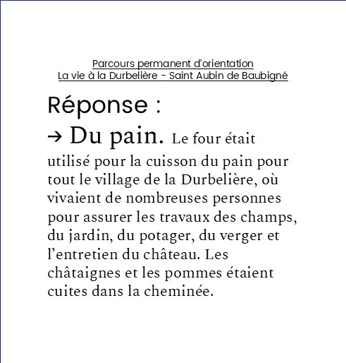 image (4)
