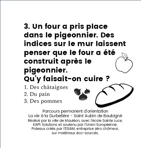 image (5)